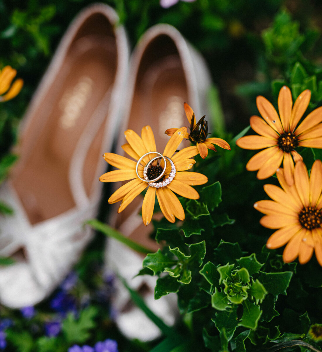 plan semi resserré sur les alliances posée sur un calendula, en arrière plan floutées on voit les chaussure argentées de la mariées entourées d'autre fleurs colorées