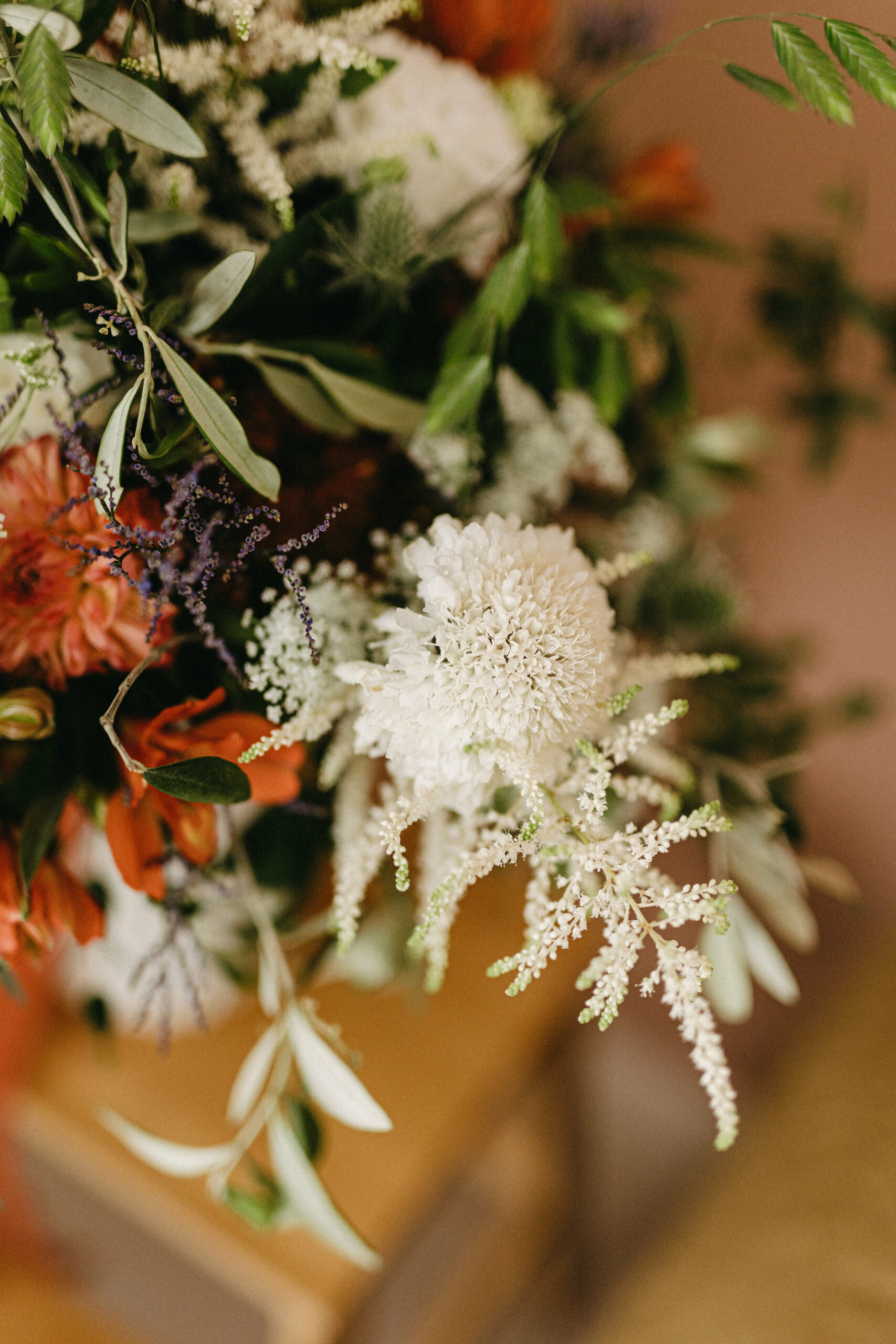 fleurs sauvages prises en plan resséré, elles ont blanches, lavande, rouge et rosées.