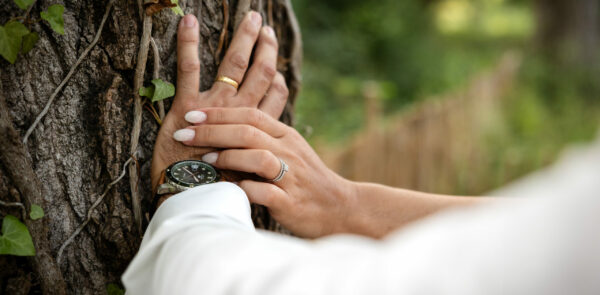 Plan resserré sur les mains des mariés reposant sur un tronc d'arbre centenaire.